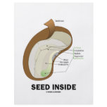 Seed Inside (Biology Humour Food For Thought) flyers