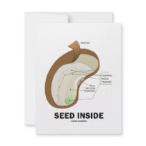Seed Inside (Biology Humour Food For Thought)