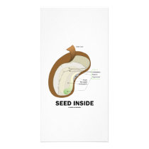 Seed Inside (Biology Humour Food For Thought)