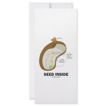 Seed Inside (Biology Humour Food For Thought)