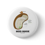 Seed Inside (Dicotyledon Bean Seed Anatomy) buttons
