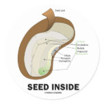 Seed Inside (Dicotyledon Bean Seed Anatomy) stickers