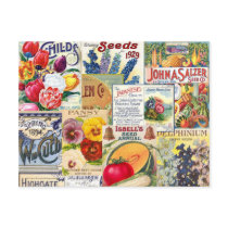 Seed Packets Postcard