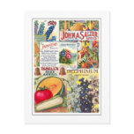 Seed Packets postcards