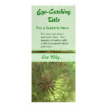 Seed Pod Business Advert Rack Cards