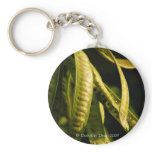 Seed Pod keychains