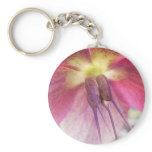 Seed Pods Developing on Hellebore Flower keychains