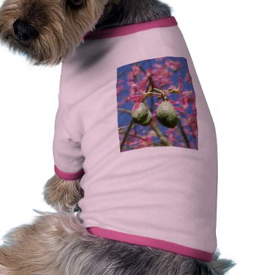 Seed Pods Dog Tshirt by lifesphere