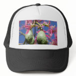 Seed Pods hats