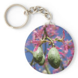 Seed Pods keychains