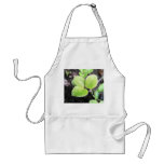 Seedling - Hellebore aprons