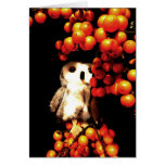 Seeing Orange cards