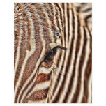 Seeing stripes? flyers