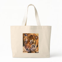 Seeking Canvas Bags