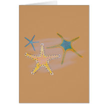 Seesterne starfish grußkarte
