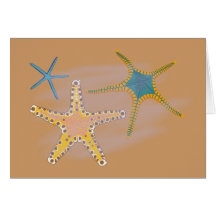 Seesterne starfish karte