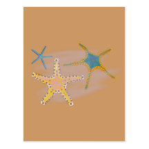 Seesterne starfish postkarte