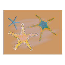 Seesterne starfish postkarten