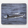Sei whale mousepads
