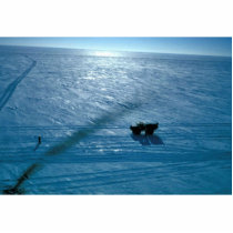 Seismic Operations Cape Espenberg Cut Outs