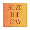 SEIZE THE DAY magnets
