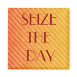 SEIZE THE DAY magnets