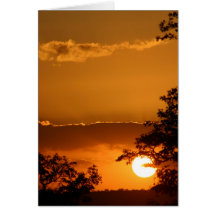Selati Sunset Cards