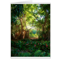 Selby Gardens Cards