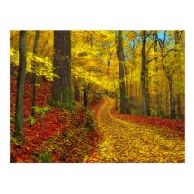 Seldom used road , postcard