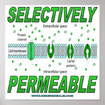 Selectively Permeable