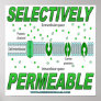 Selectively Permeable