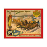 Sells Brothers Chariot Races Circus Poster Post Card