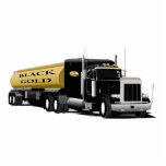 Semi Black Gold photo sculptures