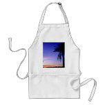 Semi-tropical landscape, Arizona, U.S.A. aprons