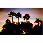 Semi-tropical sunset photo sculptures