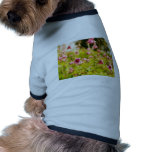 Semiaquilegia sugar plum pet clothing