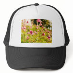 Semiaquilegia sugar plum hats