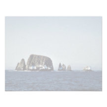 Semidi Islands, South Island, Alaska Peninsula Uni Invitation