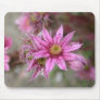 Sempervivum tectorum mouse pad