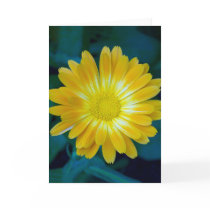 Send Flower to your friends that lasts. Greeting Card