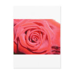 Send some Love Postcards