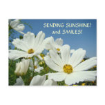 SENDING SUNSHINE & Smiles! Postcard Valentines