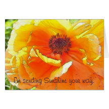 Sending Sunshine your way. Greeting Cards