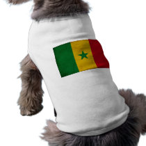 Senegal Flag