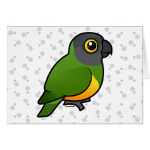 Senegal Parrot Card