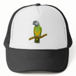 Senegal Parrot Hat