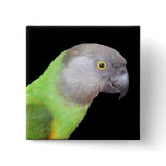 SENEGAL PARROT HEAD buttons