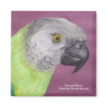 Senegal Parrot Pastel magnets