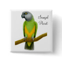 Senegal Parrot Pin buttons