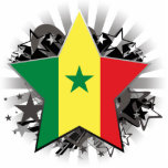 Senegal Star photo sculptures